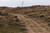 Protecting the dunes